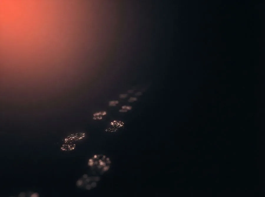 Faint footprints fading into darkness